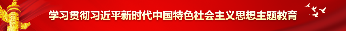 學(xué)習(xí)貫徹習(xí)近平新時(shí)代中國(guó)特色社會(huì)主義思想主題教育